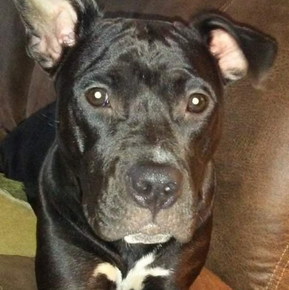 Meet your Posher, Brenda - Picture 4 of 5